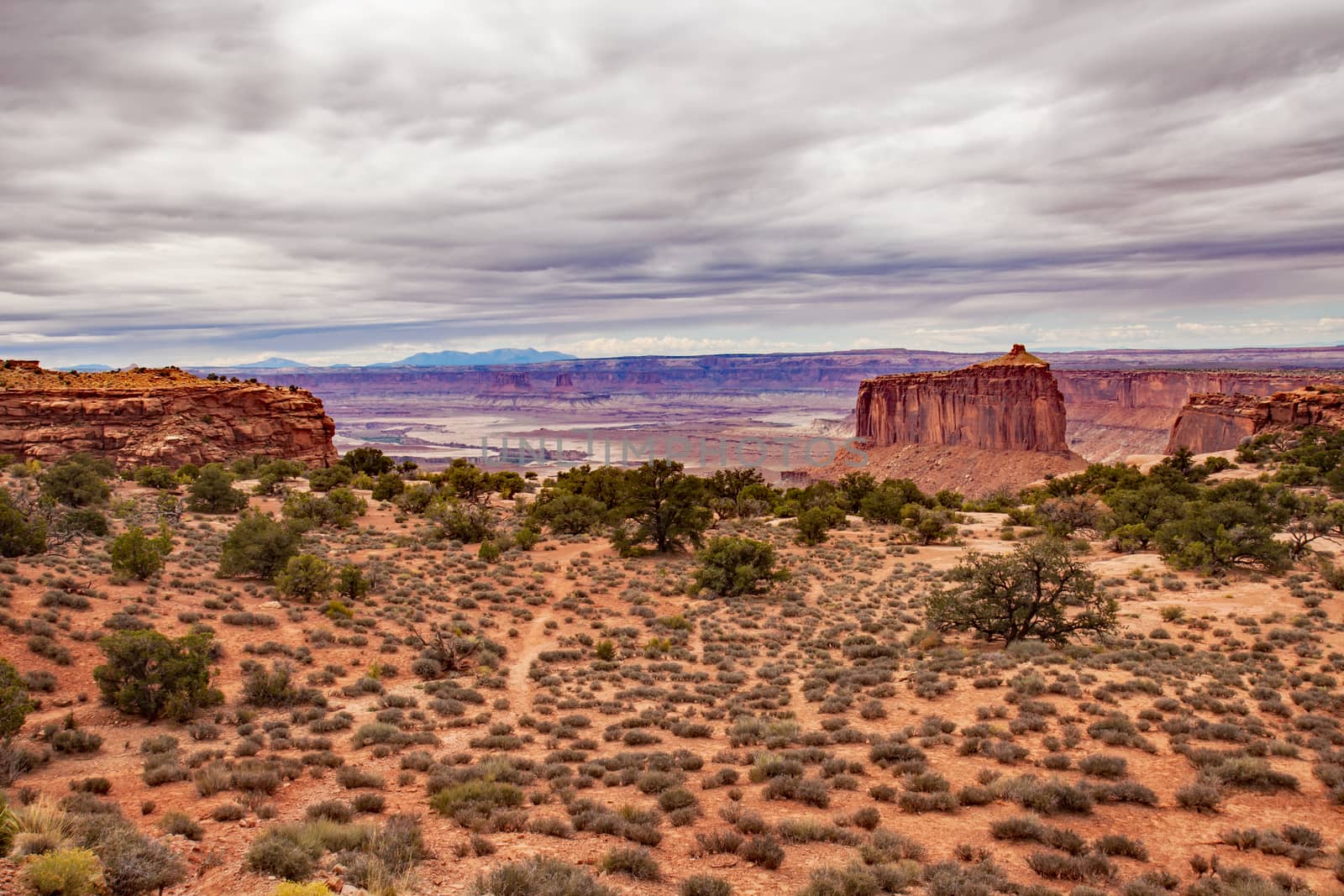 View over the Green River Valley from the Canyonlands National Park, Utah. United States of America.