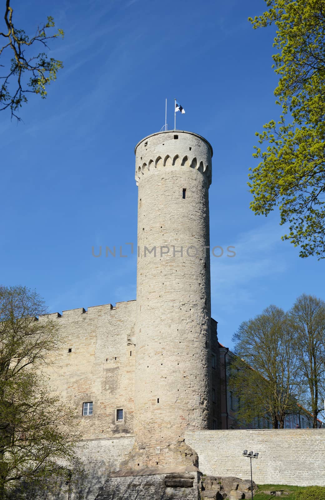 Pikk Hermann tower of Toompea Castle in the Old Town of Tallinn, Estonia