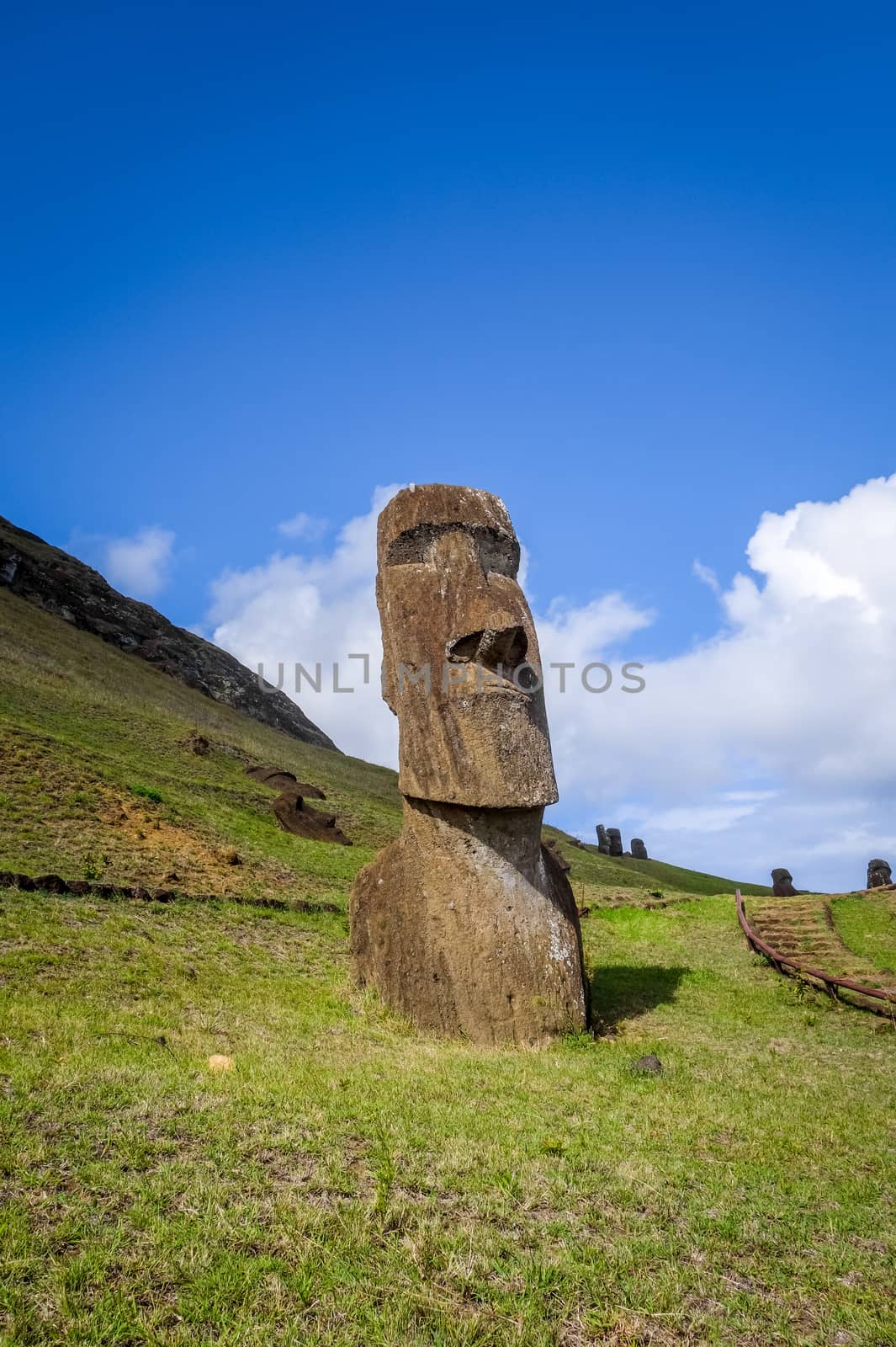 Moais statues on Rano Raraku volcano, easter island, Chile