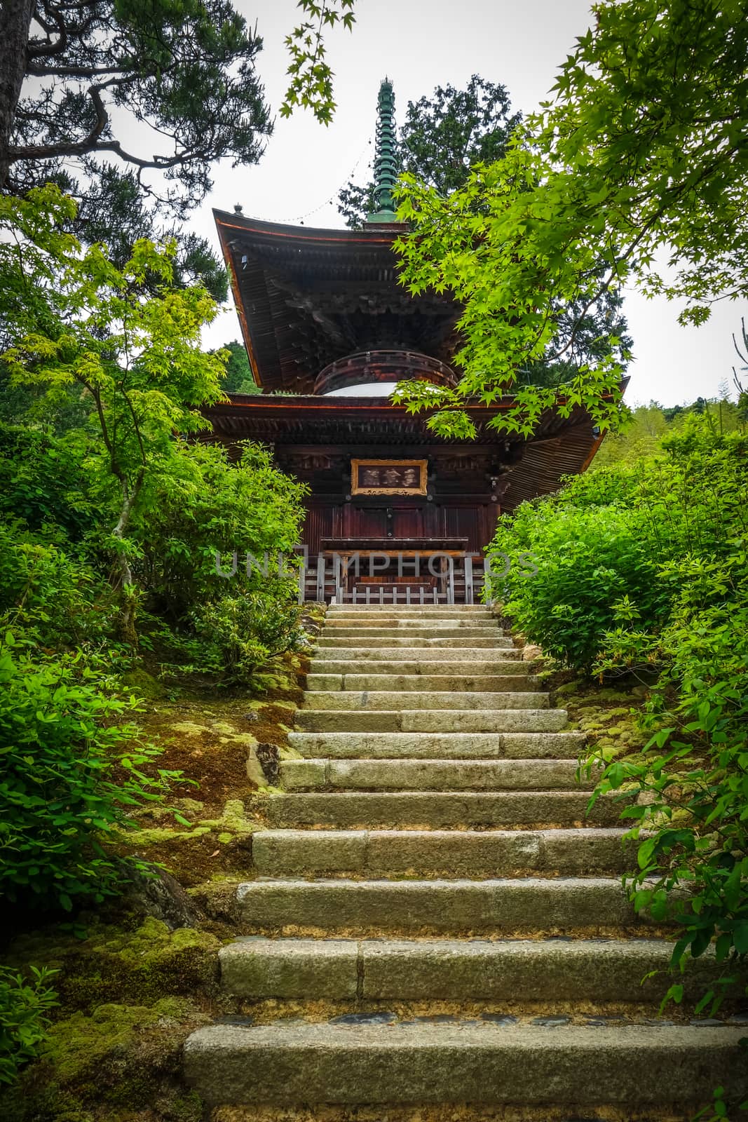 Jojakko-ji temple pagoda, Kyoto, Japan by daboost