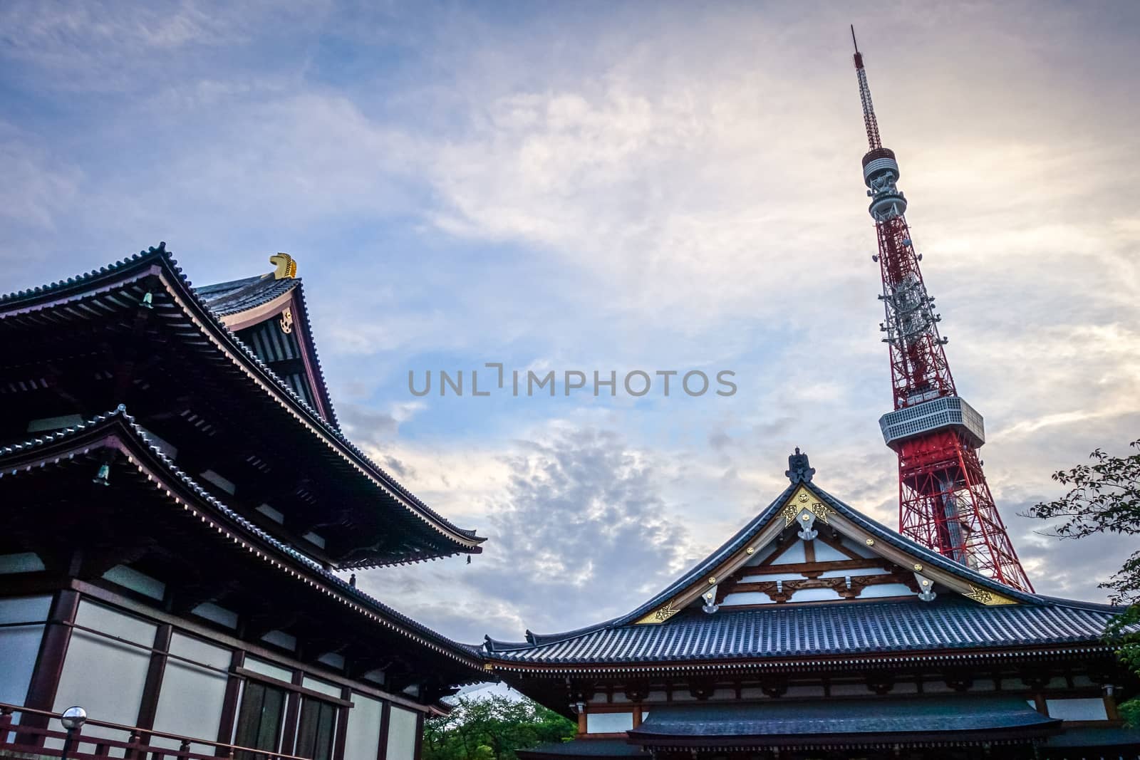 Zojo-ji temple and Tokyo tower at sunset, Japan