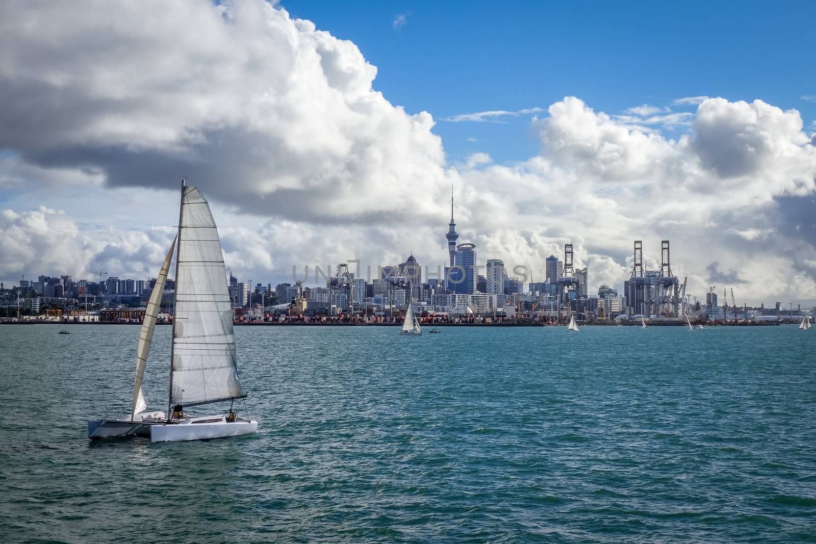 Auckland view from the sea and sailing ship, New Zealand by daboost