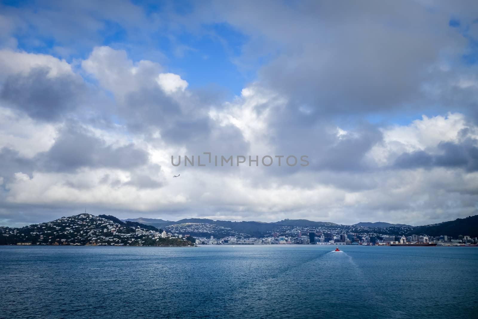 Wellington city view from the sea, New Zealand by daboost