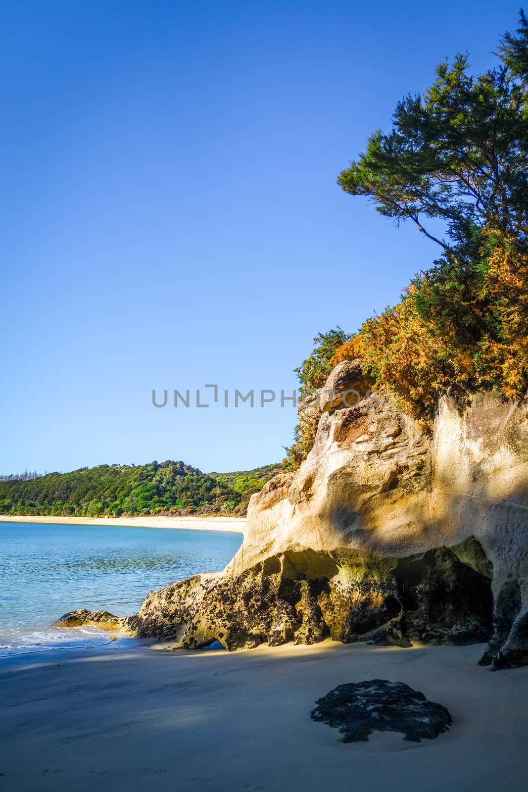 Creek and beach at sunset in Abel Tasman National Park. New Zealand