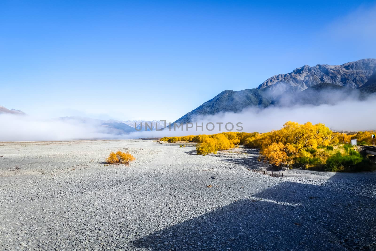 Foggy desert and Yellow forest in New Zealand mountains