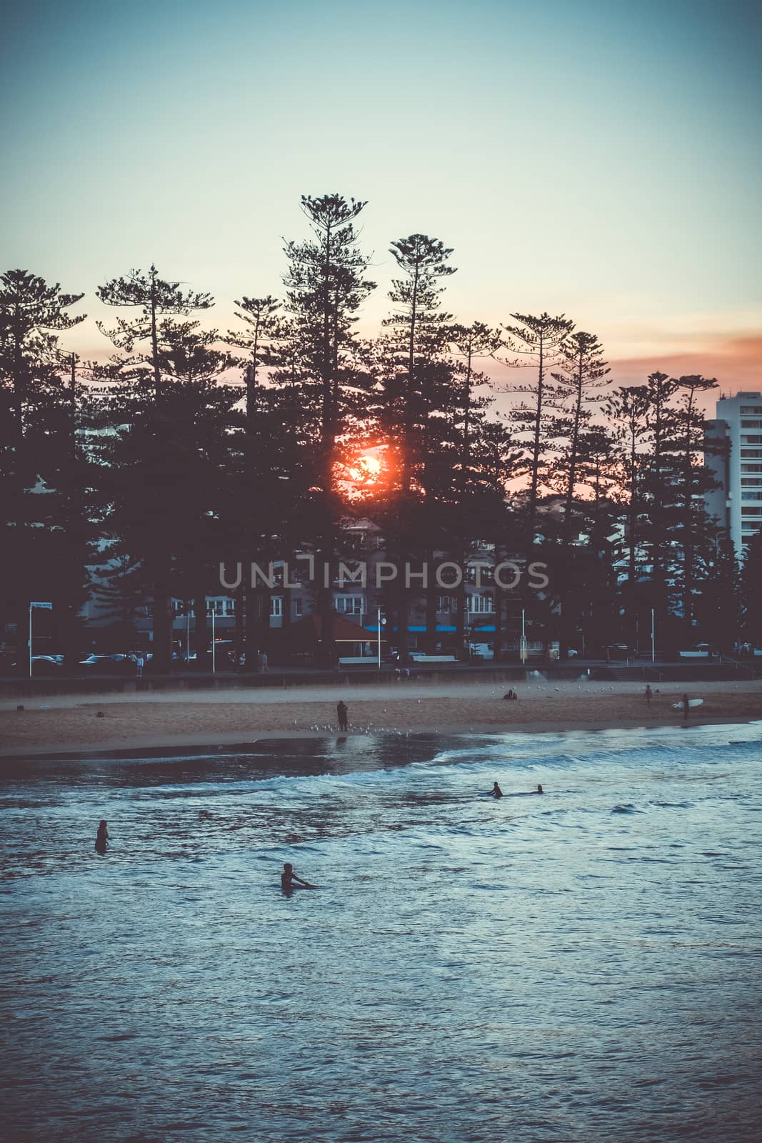 Manly Beach at sunset, Sydney, New South Wales, Australia