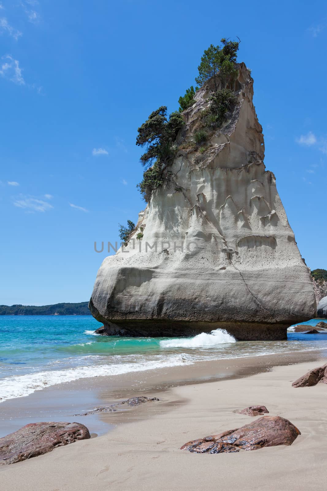 Cathedral Cove Coromandel Peninsula