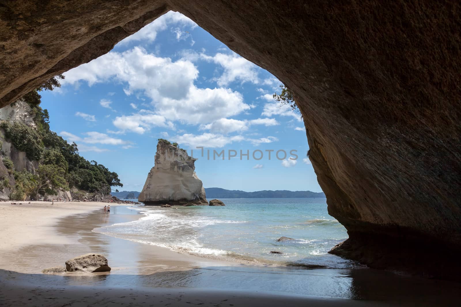 Cathedral Cove Coromandel Peninsula