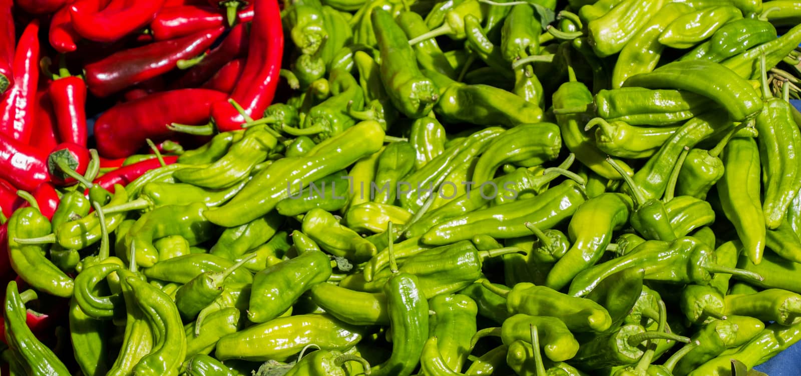 Green pepper found at the market stand by berkay