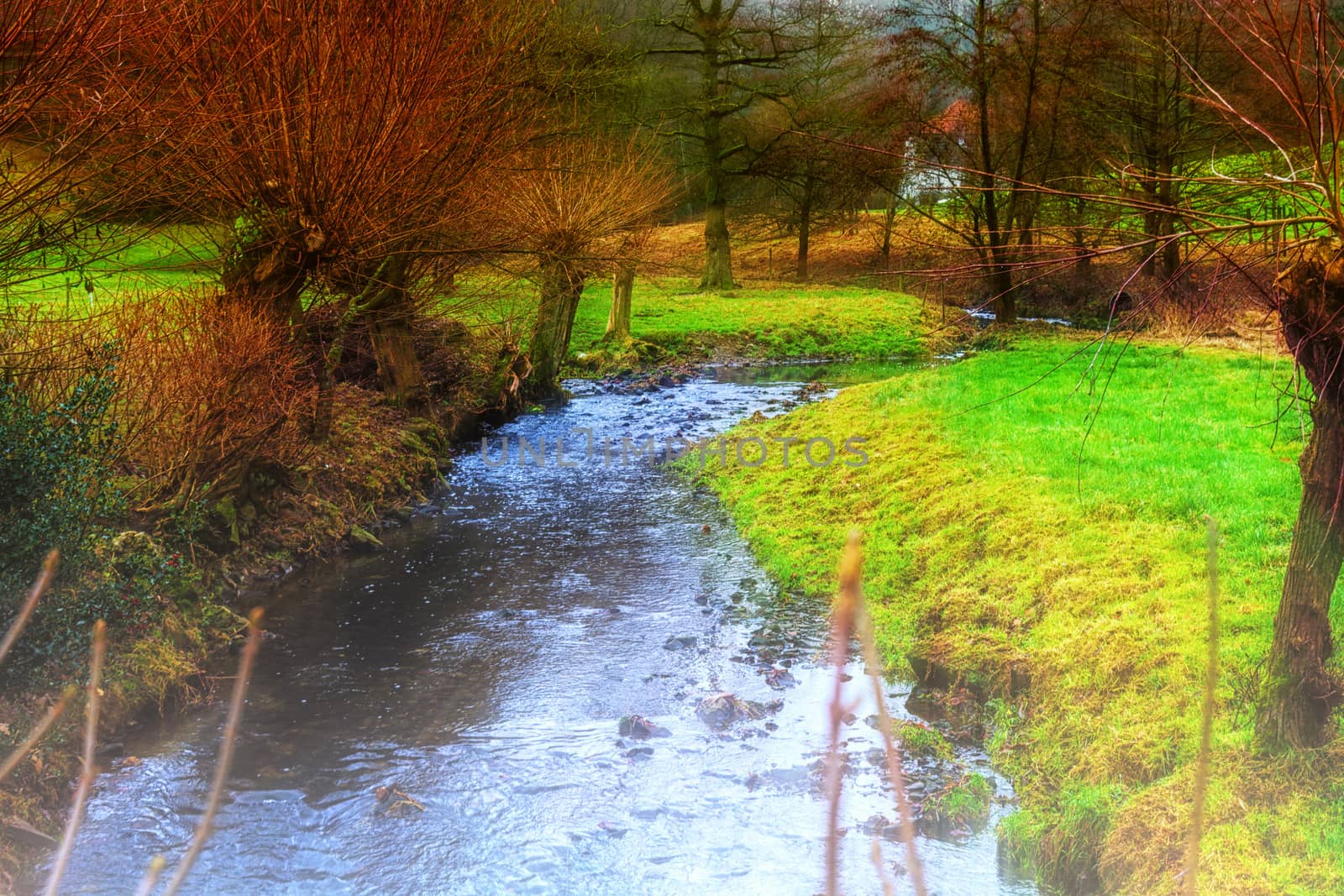 Clear water flows through a beautiful riverine landscape.
