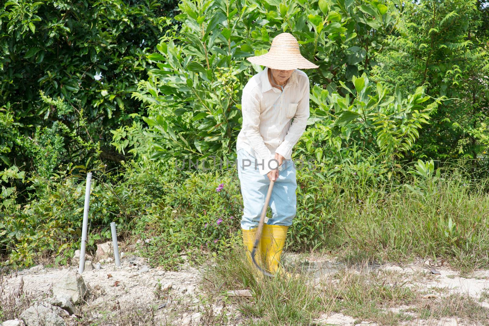 Asian farmer cleaning land.
