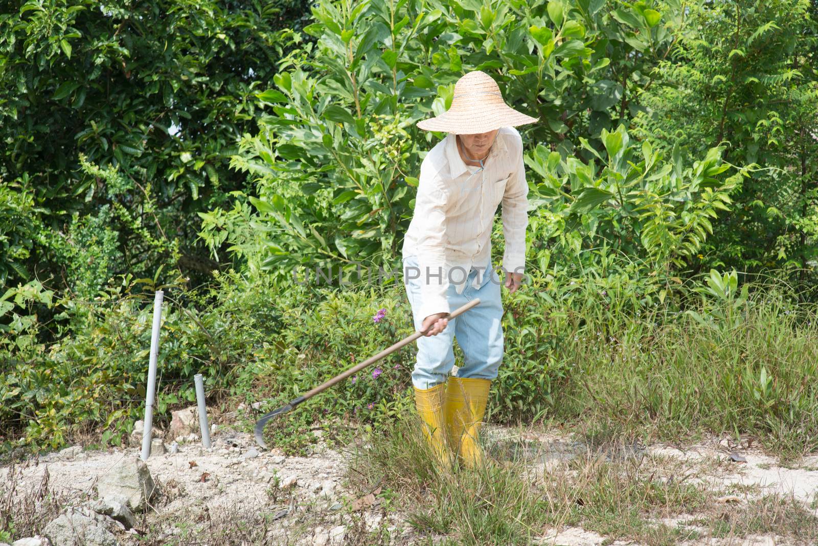 Asian worker cleaning farmland.