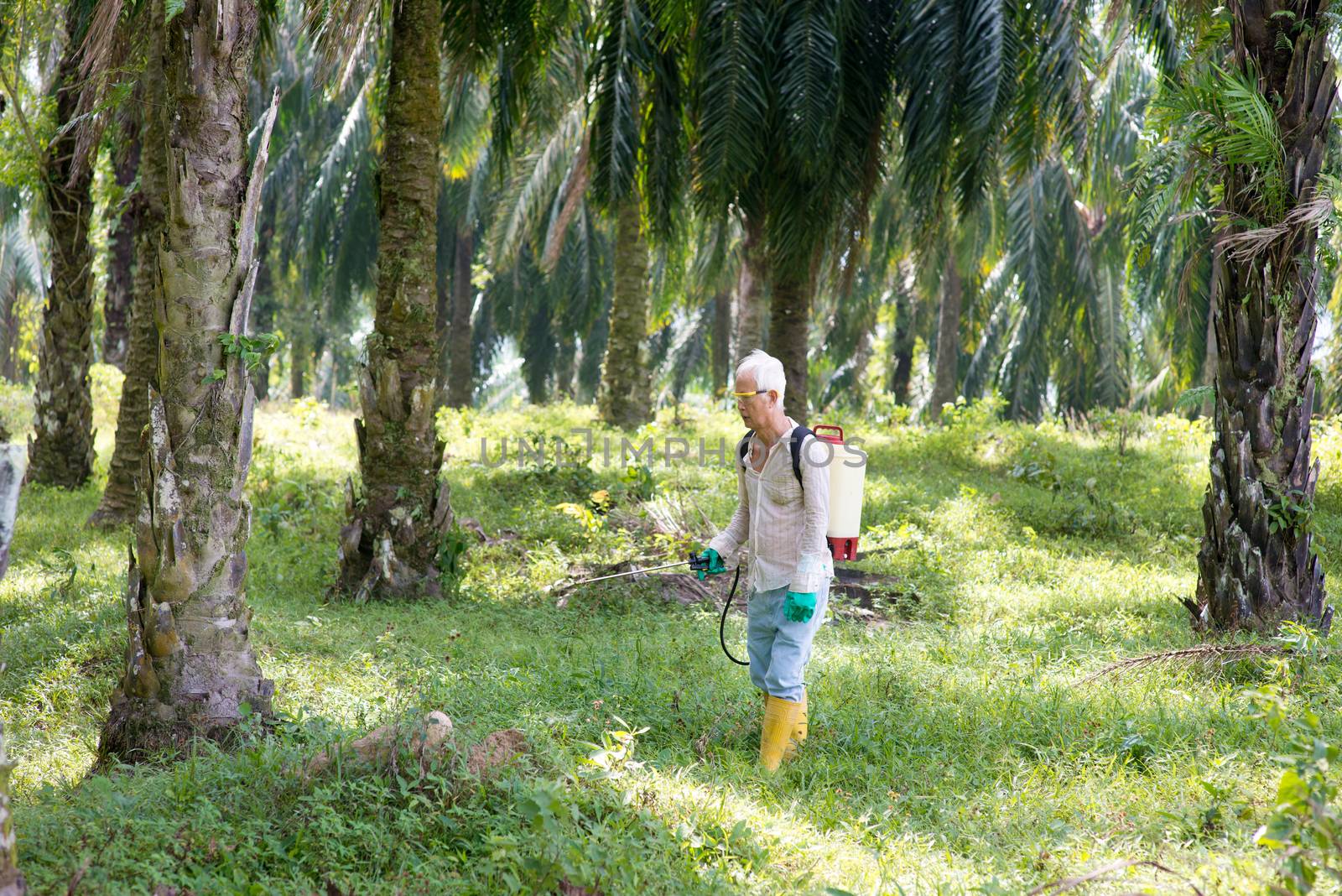 worker spraying herbicides  by szefei