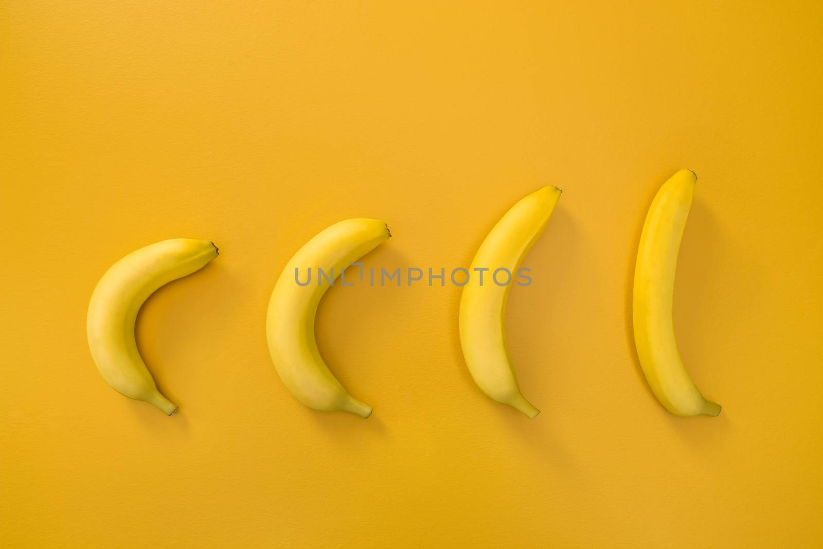 Bananas illustrating evolution theory, on vivid yellow background.