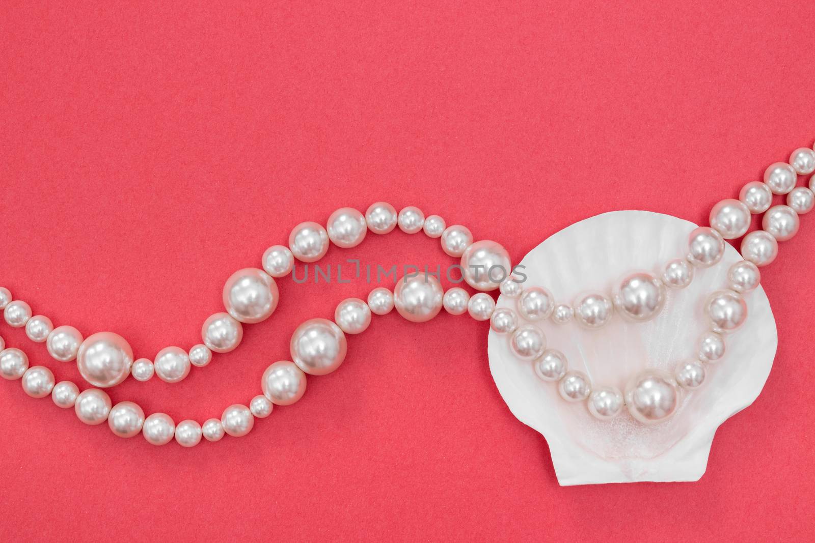 Pearl necklace and seashell on vibrant pink background. Fashion concept.