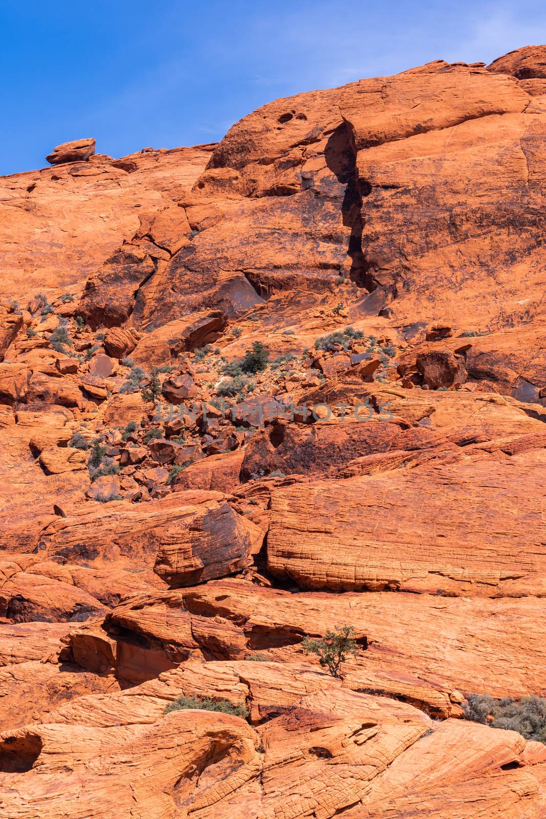 Red Rock Canyon National Conservation Area in Las Vegas Nevada USA