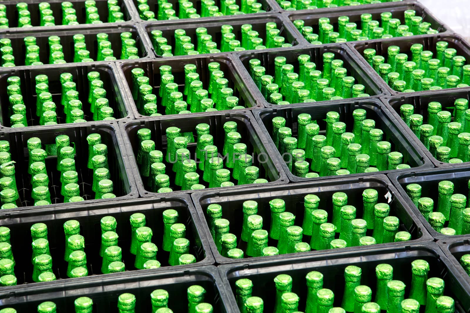 A group of green bottles in beer crates