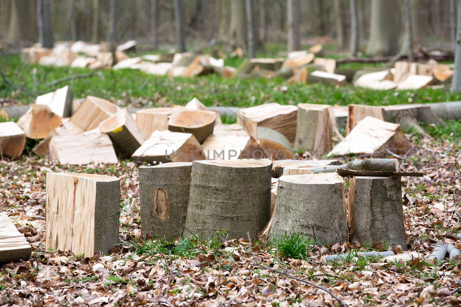 Pile of Wood by Kartouchken