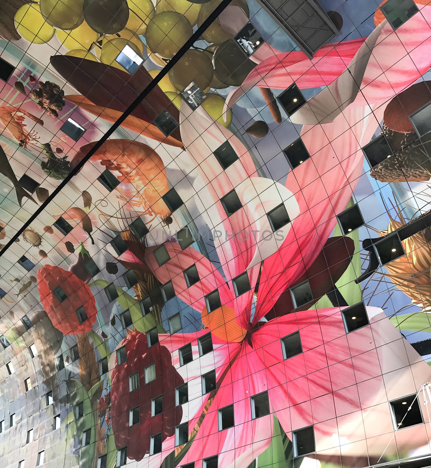 The colourful painted arch ceiling of the Markthal,  famous market hall in central Rotterdam