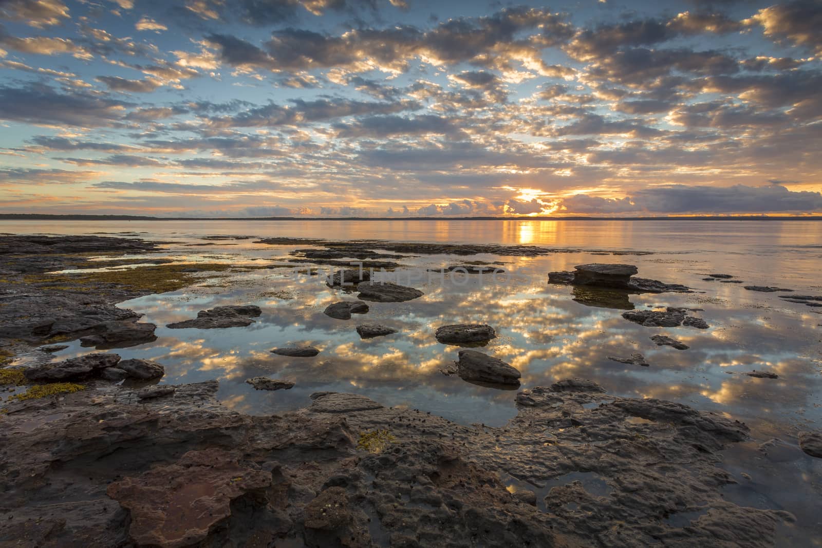 Beautiful sunrise reflecting across the bay at low tide.  Location  Callala Bay, part of Jervis Bay, Australia
