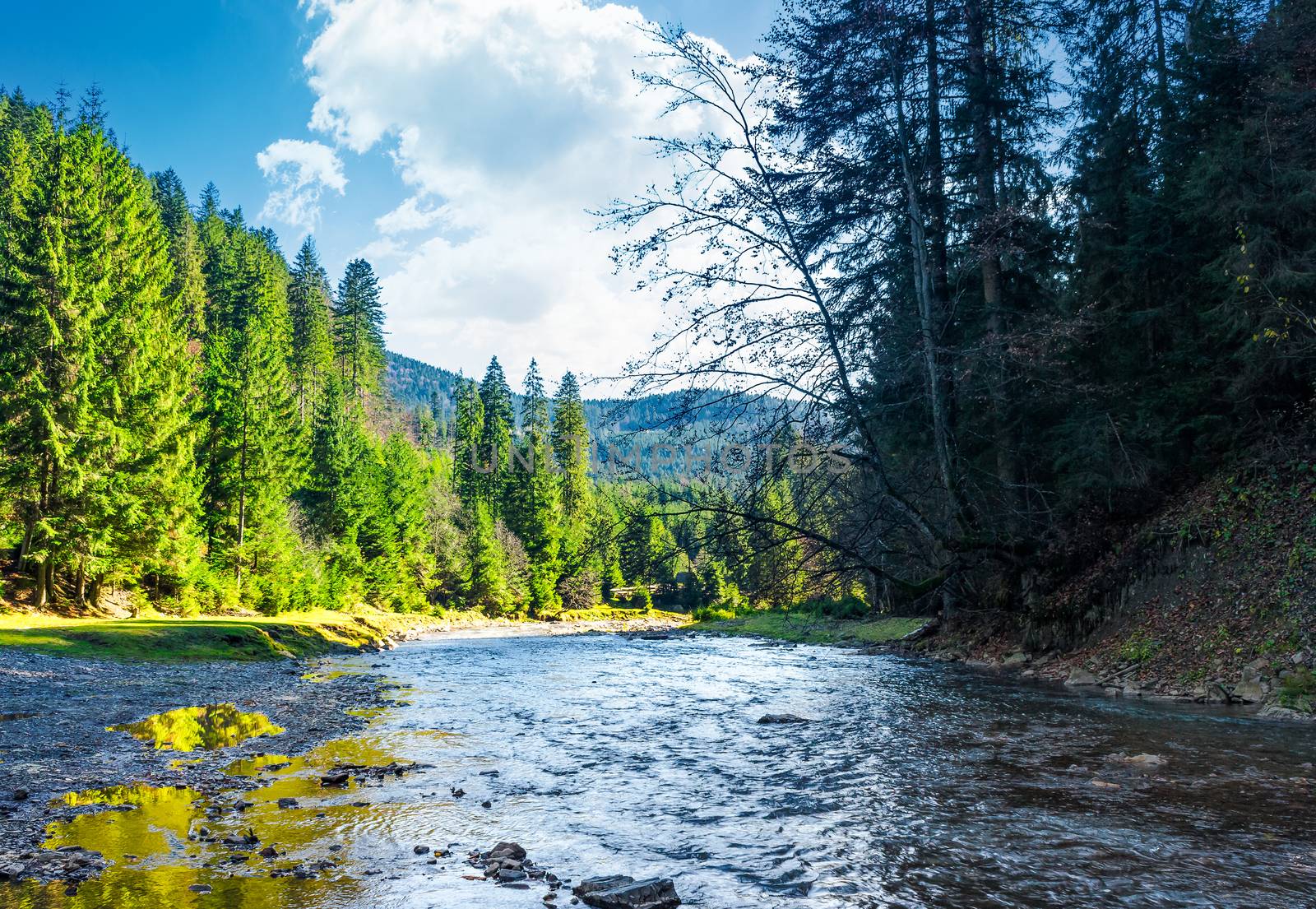 wild mountain river in forest by Pellinni