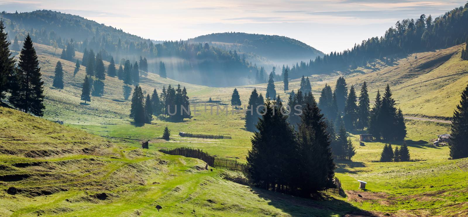 panorama of Balileasa valley of Apuseni mountains by Pellinni