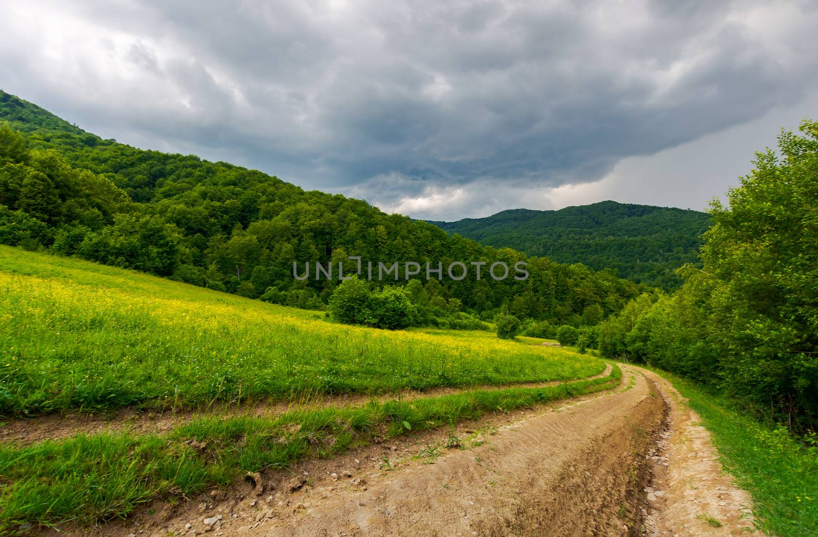 country road down the hill through the field. lovely countryside scenery in mountainous area before the summer storm