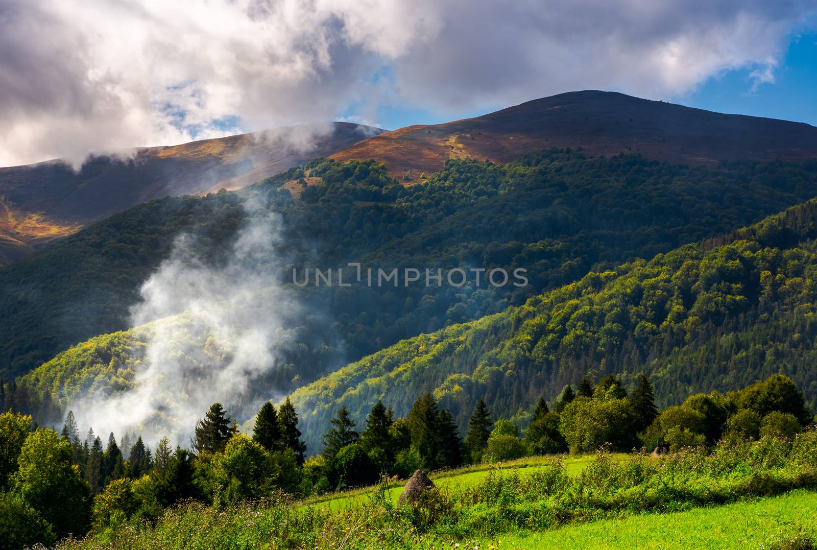 smoke from the fire in forest. mountainous summer landscape. environmental problem and ecology disaster of Carpathian countryside