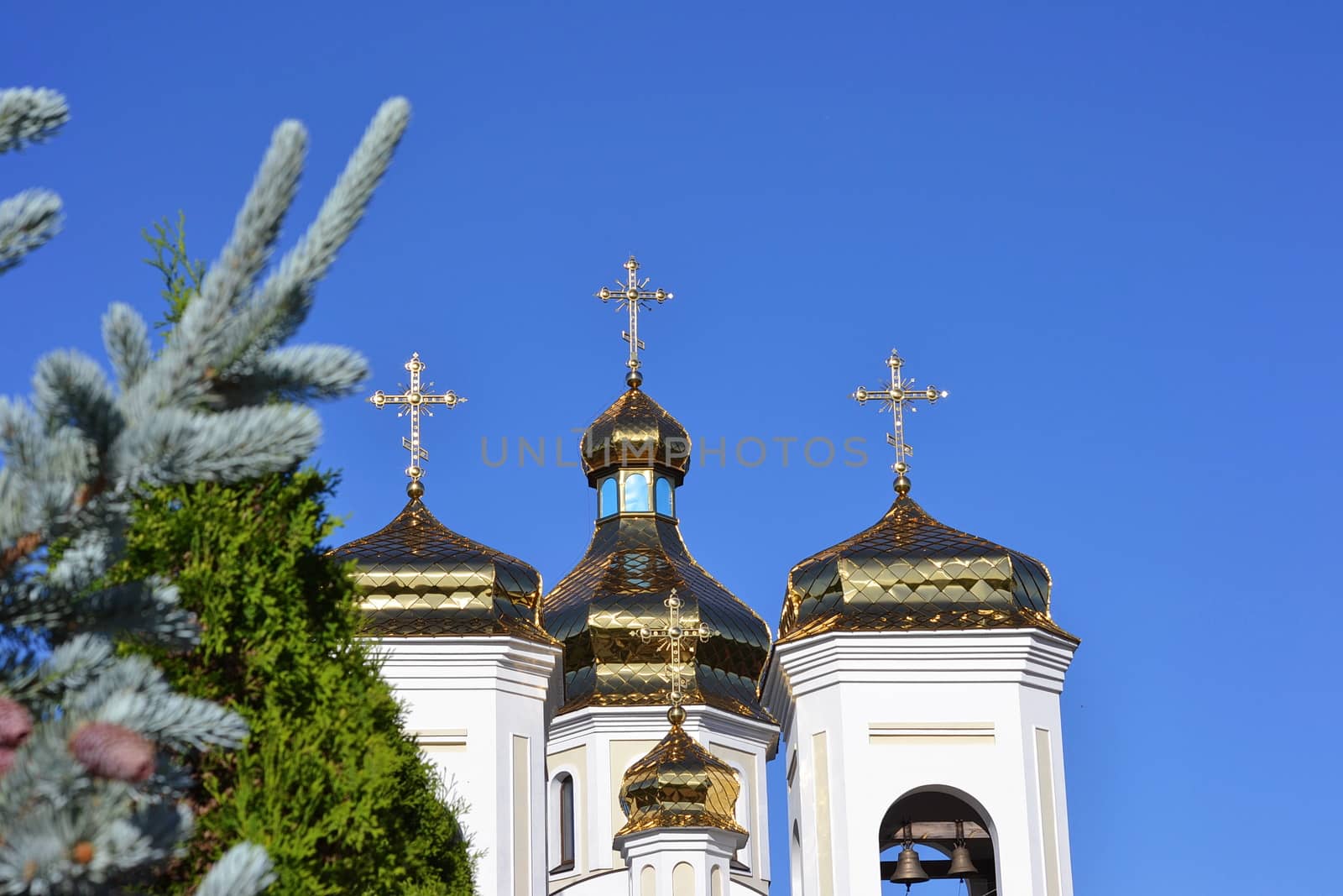 Golden domes Svyatogo Nikolaya Chudotvortsa in Chernigov.