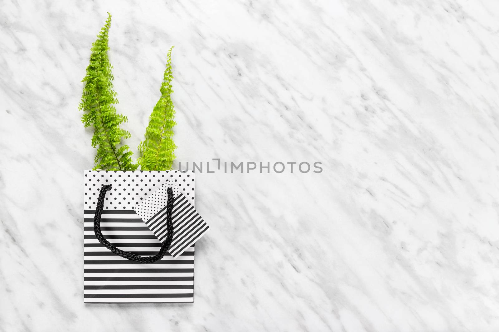 Green fern in a black and white striped gift bag, on marble background.