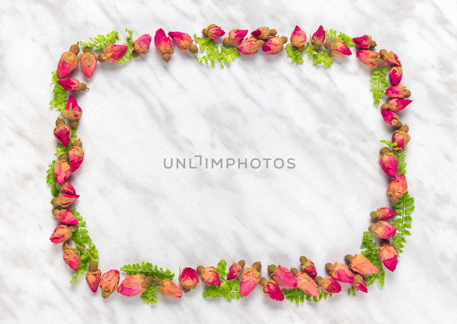 Frame made of dried roses and green leaves by anikasalsera