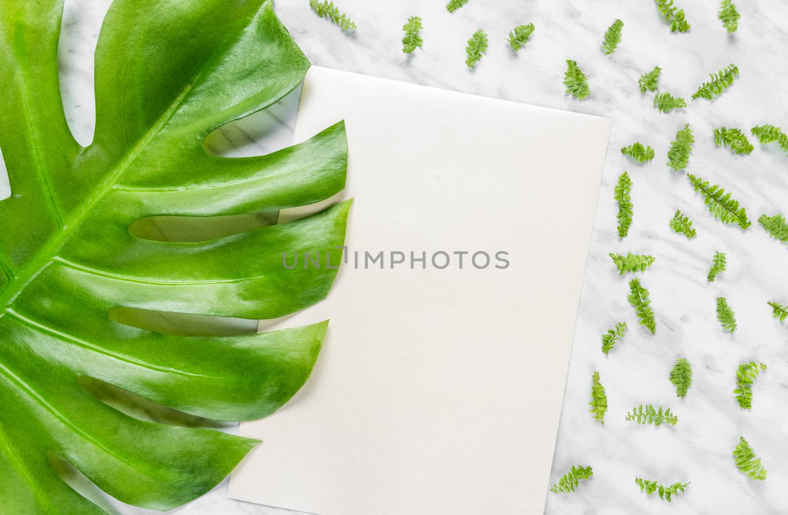 Blank sheet of paper with copy space and green leaves on marble background. Flat lay composition.