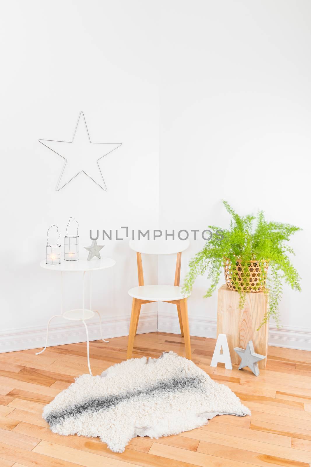 Bright and elegant modern home decor with green plant and natural materials.