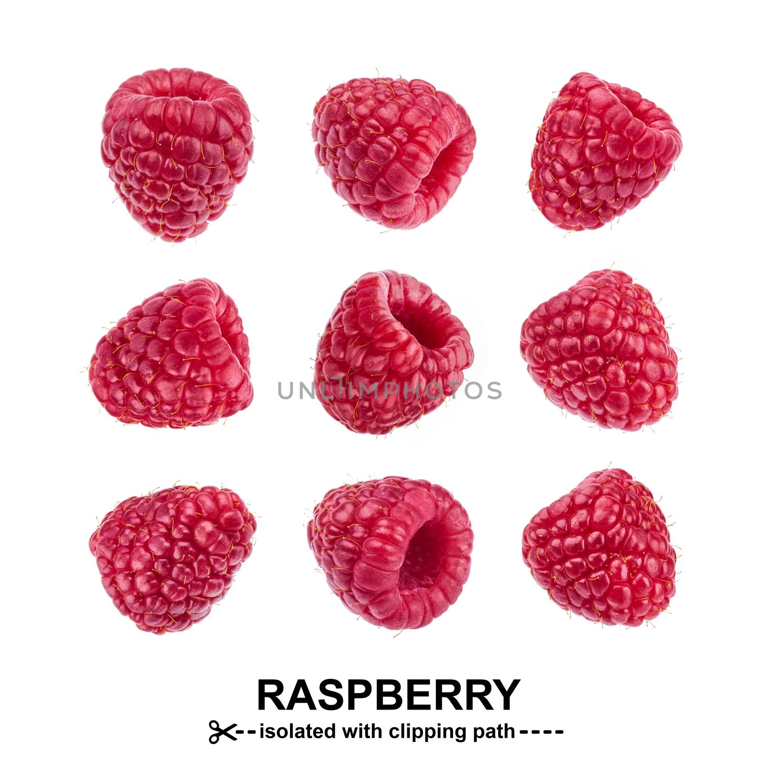 Raspberry collection. Raspberries isolated on white background with clipping path. Seamless Pattern by xamtiw