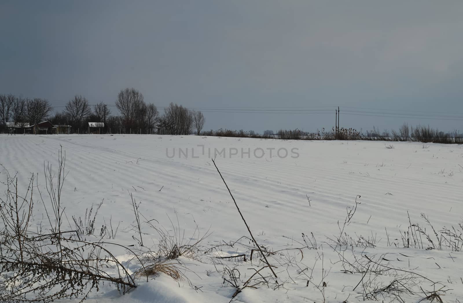 Countryside covered with snow during winter by sheriffkule