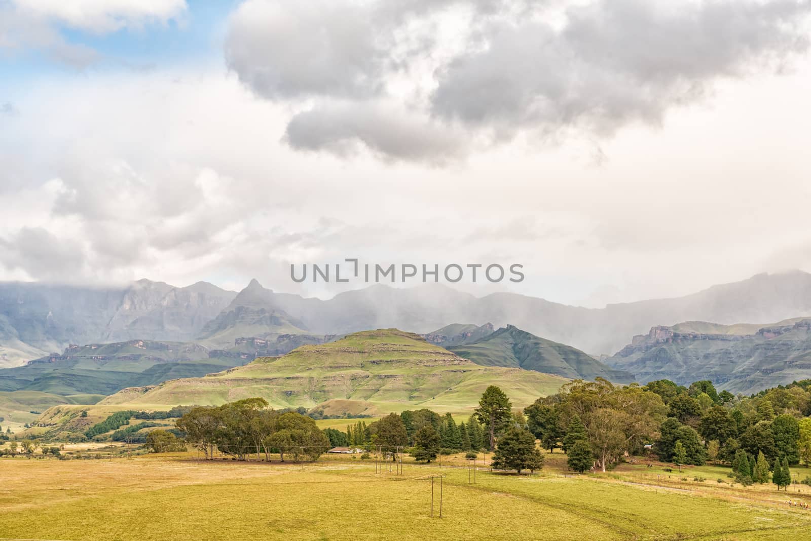 The Drakensberg at Garden Castle near Underberg. Rhino Peak (3056m above sea level) is visible to the left