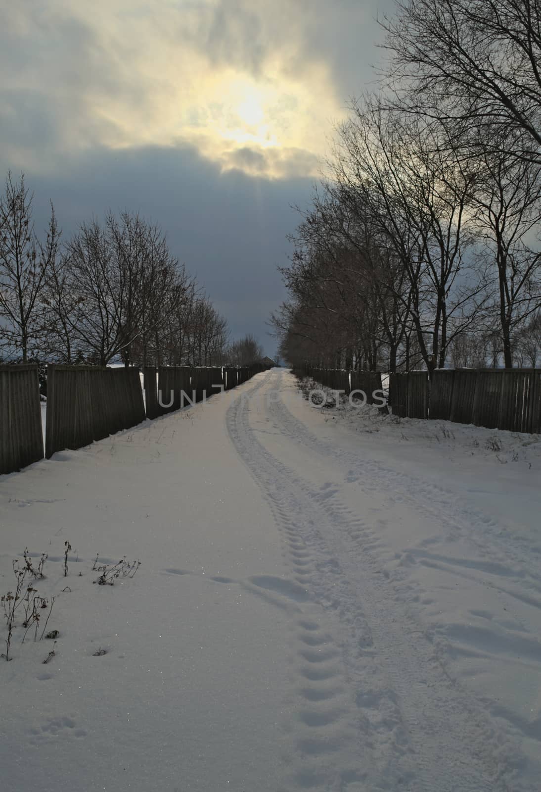 Countryside road covered with a lot of snow during winter by sheriffkule