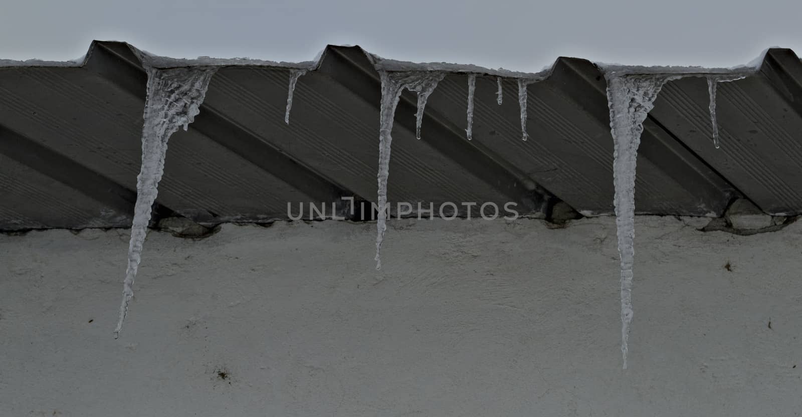 Frozen ice crystals hanging from roof top by sheriffkule