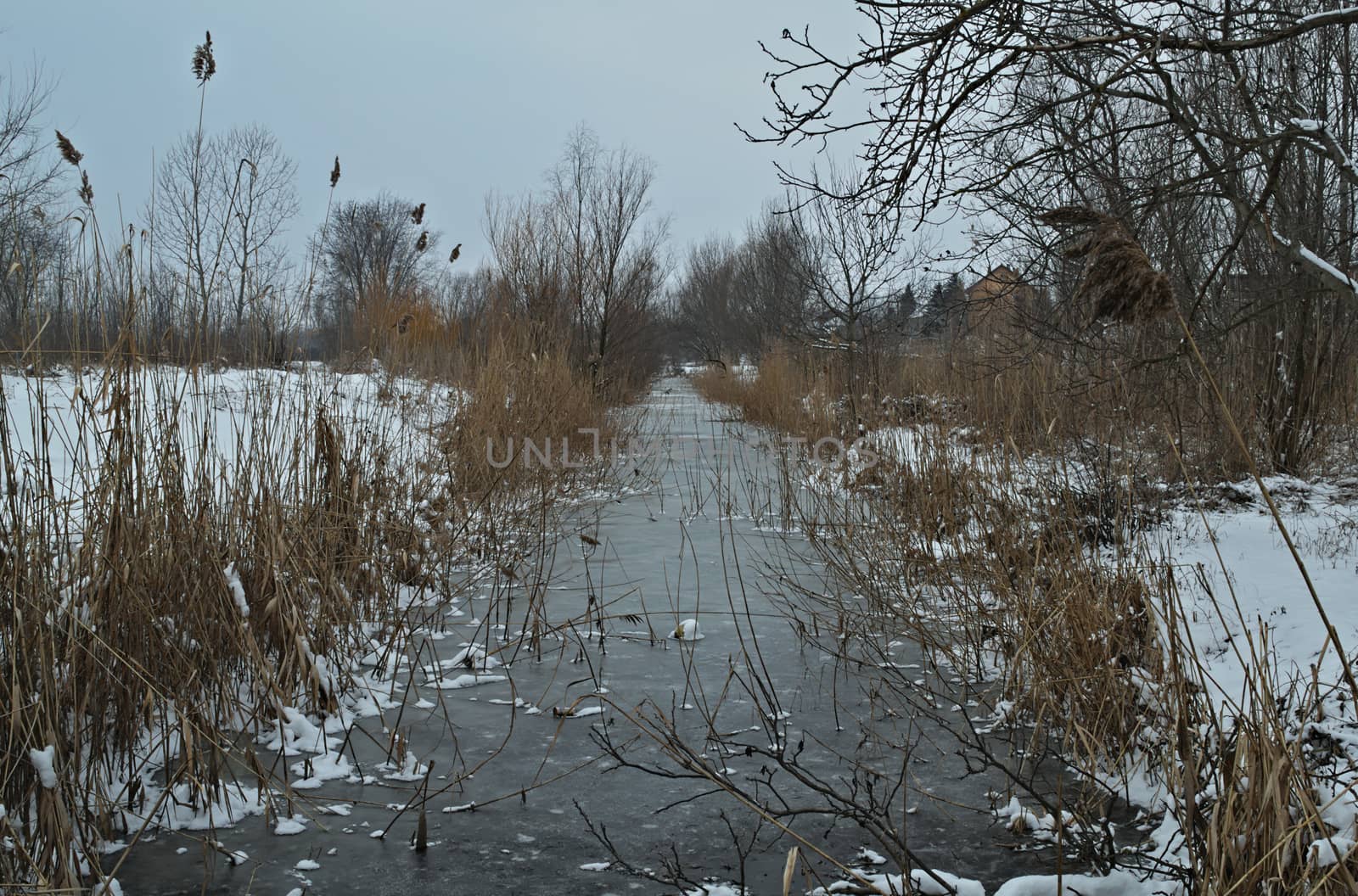 winter landscape with frozen canal and snow all around