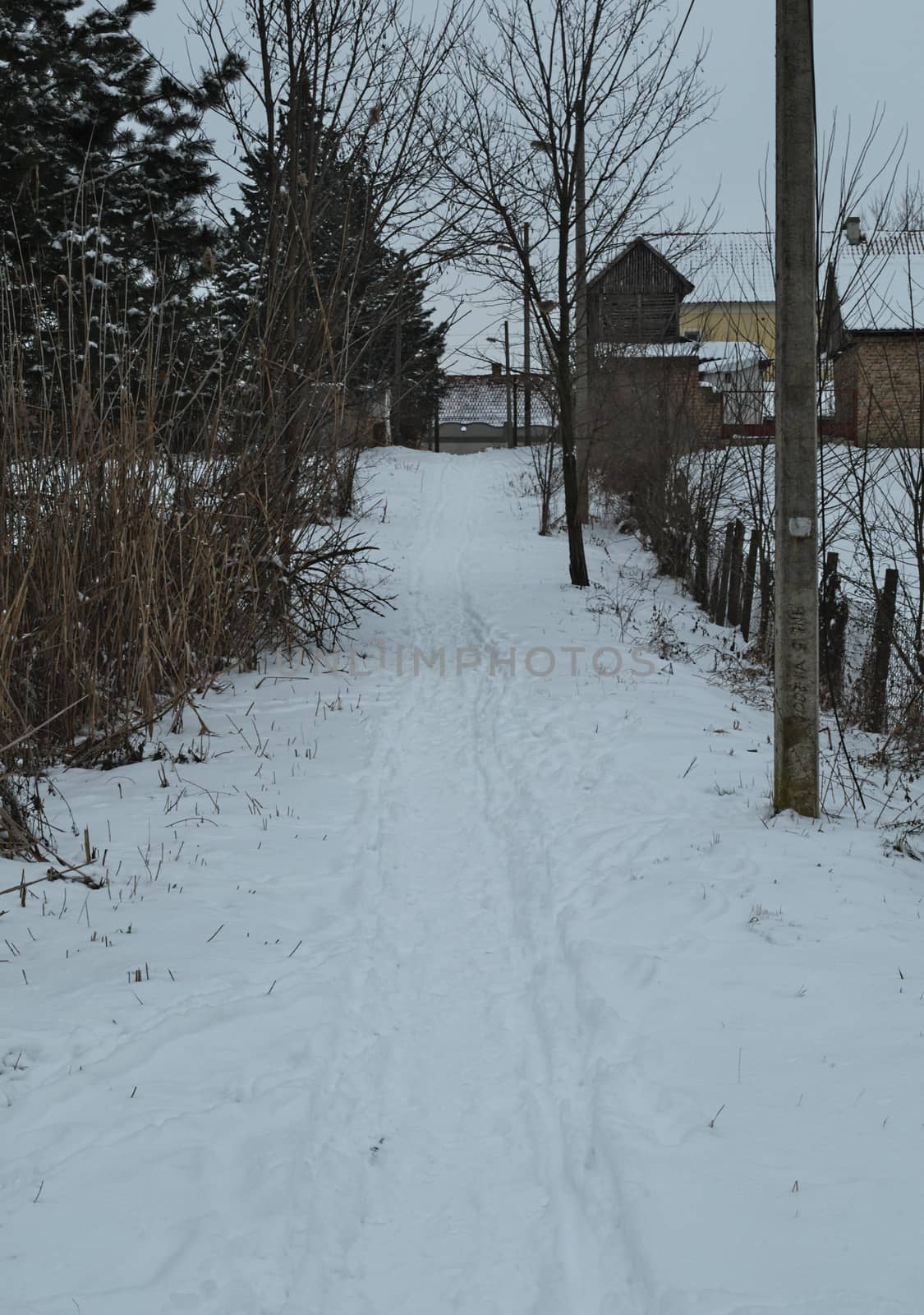 Countryside road covered with a lot of snow during winter by sheriffkule