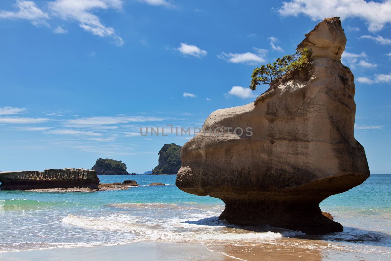 Cathedral Cove Coromandel Peninsula by phil_bird