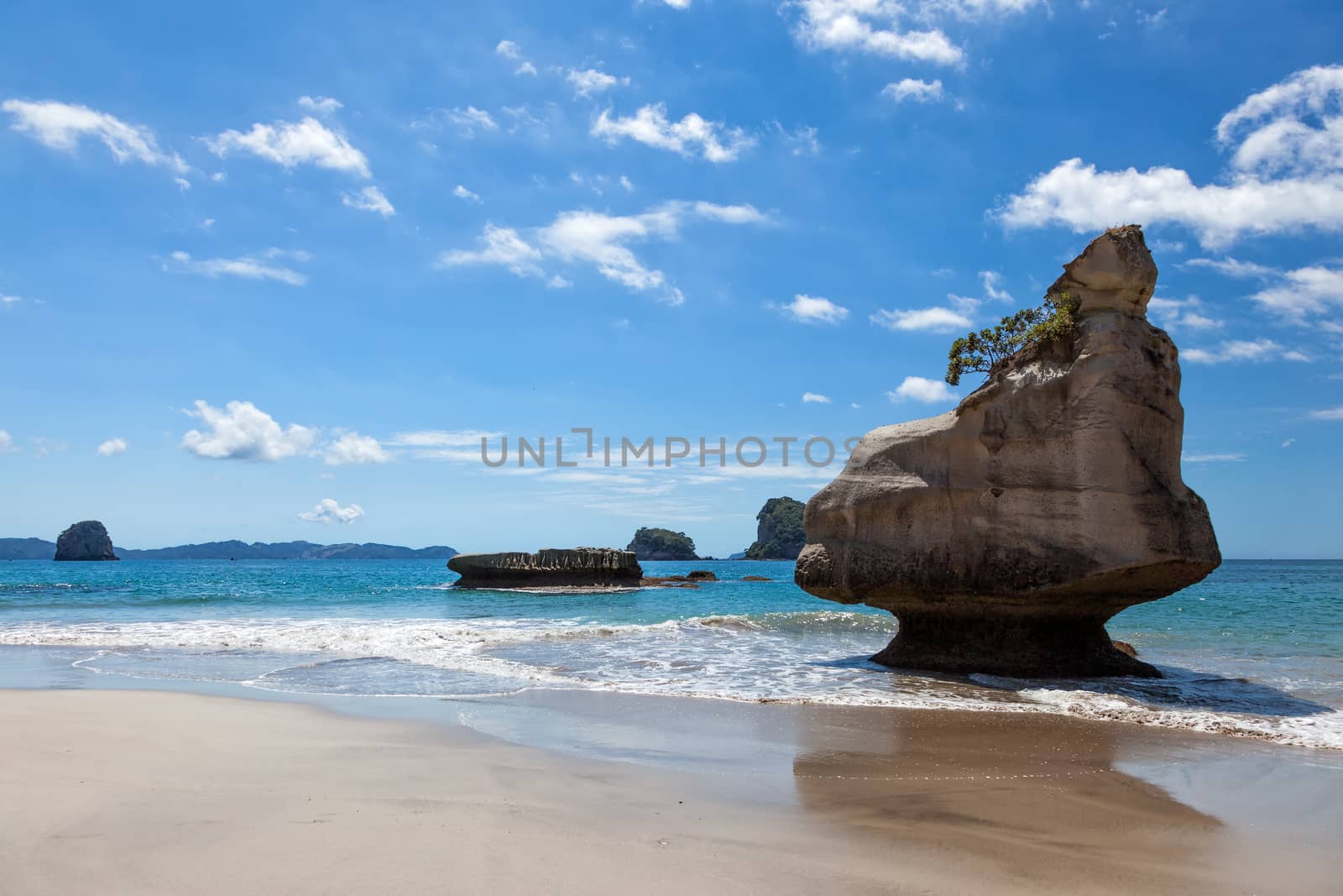 Cathedral Cove Coromandel Peninsula by phil_bird