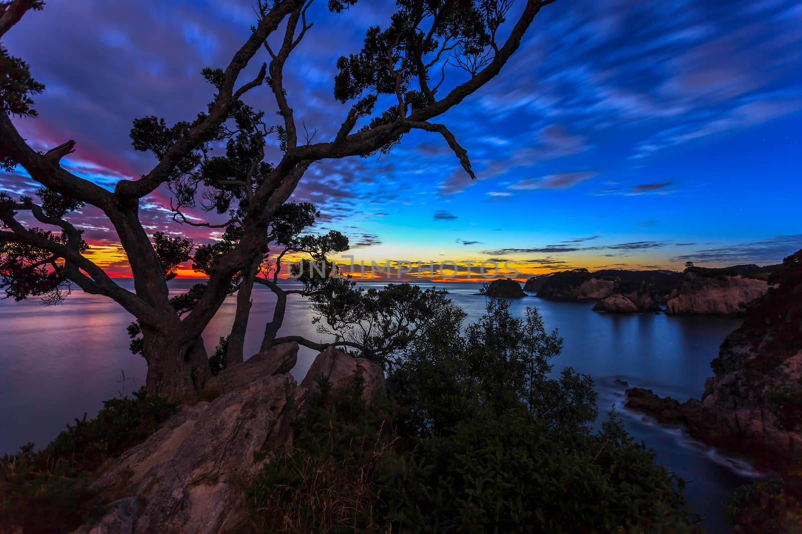 Sunrise at Te Pare Point by phil_bird