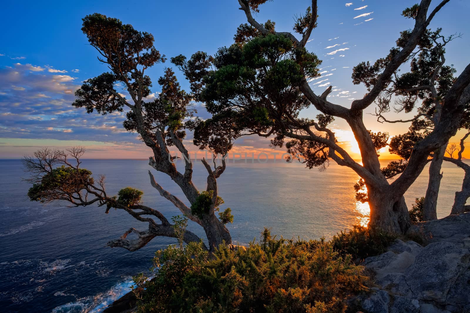 Sunrise at Te Pare Point by phil_bird