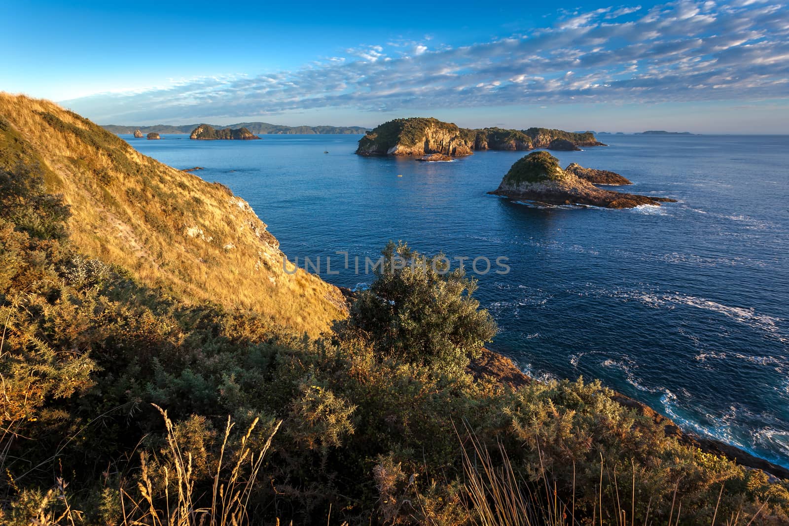 Coromandel Coastline by phil_bird