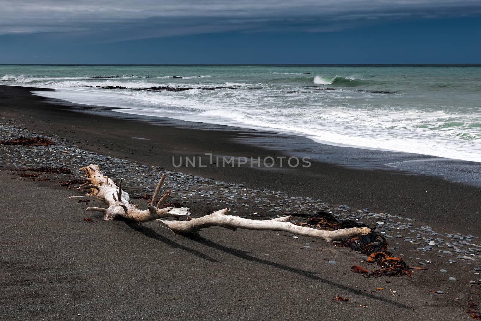 Driftwood on Rarangi Beach by phil_bird