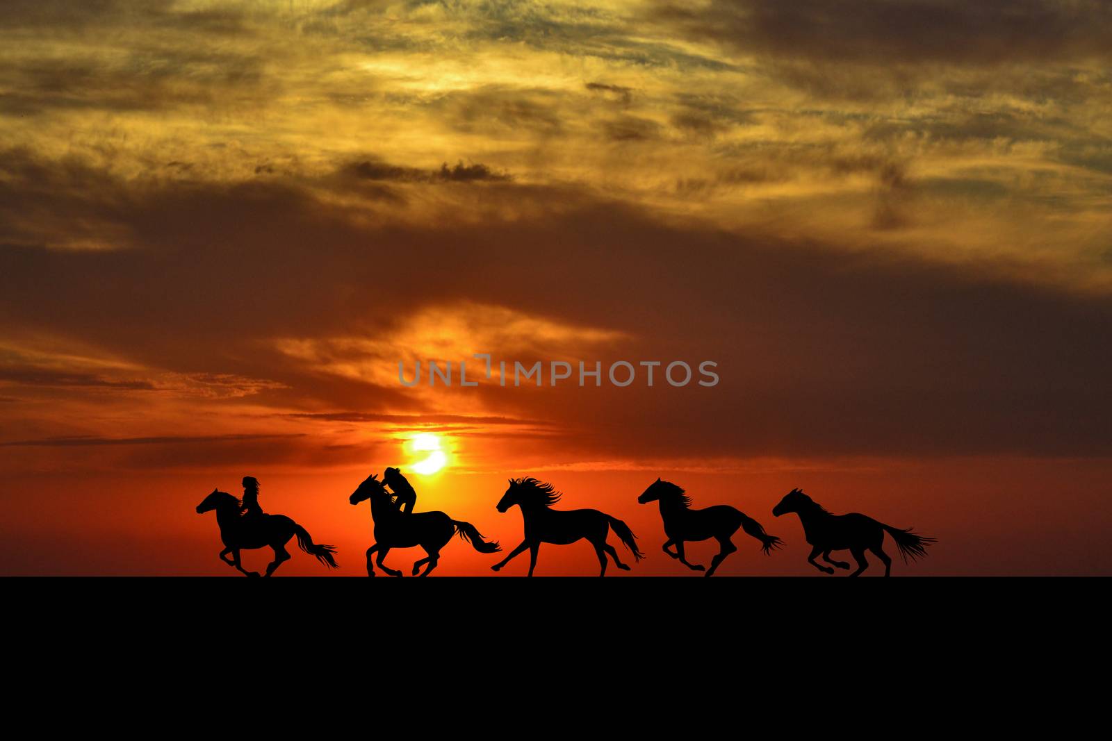 Horses riders galloping at sunrise