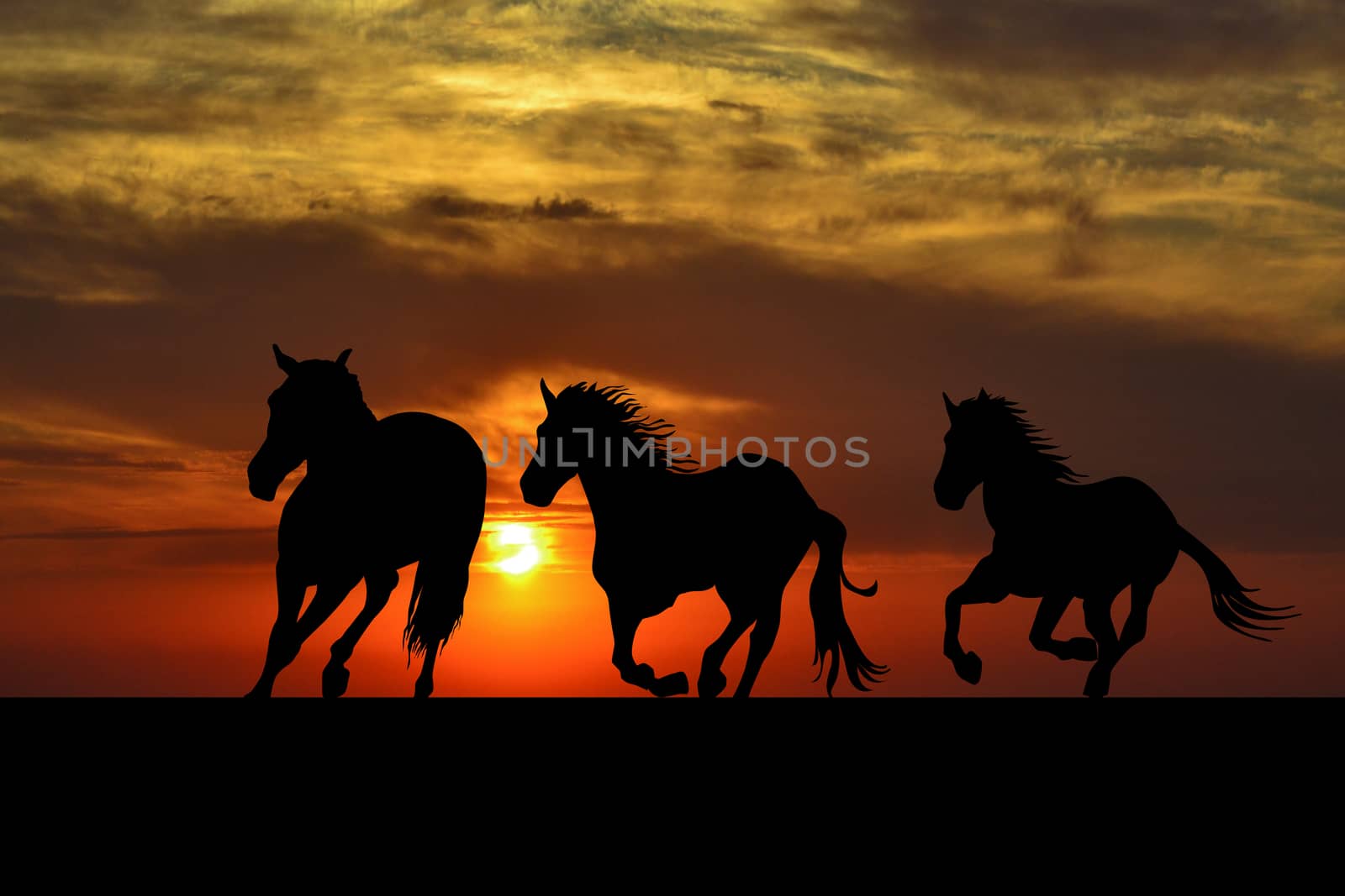 Silhouette of horses galloping at sunrise by hibrida13