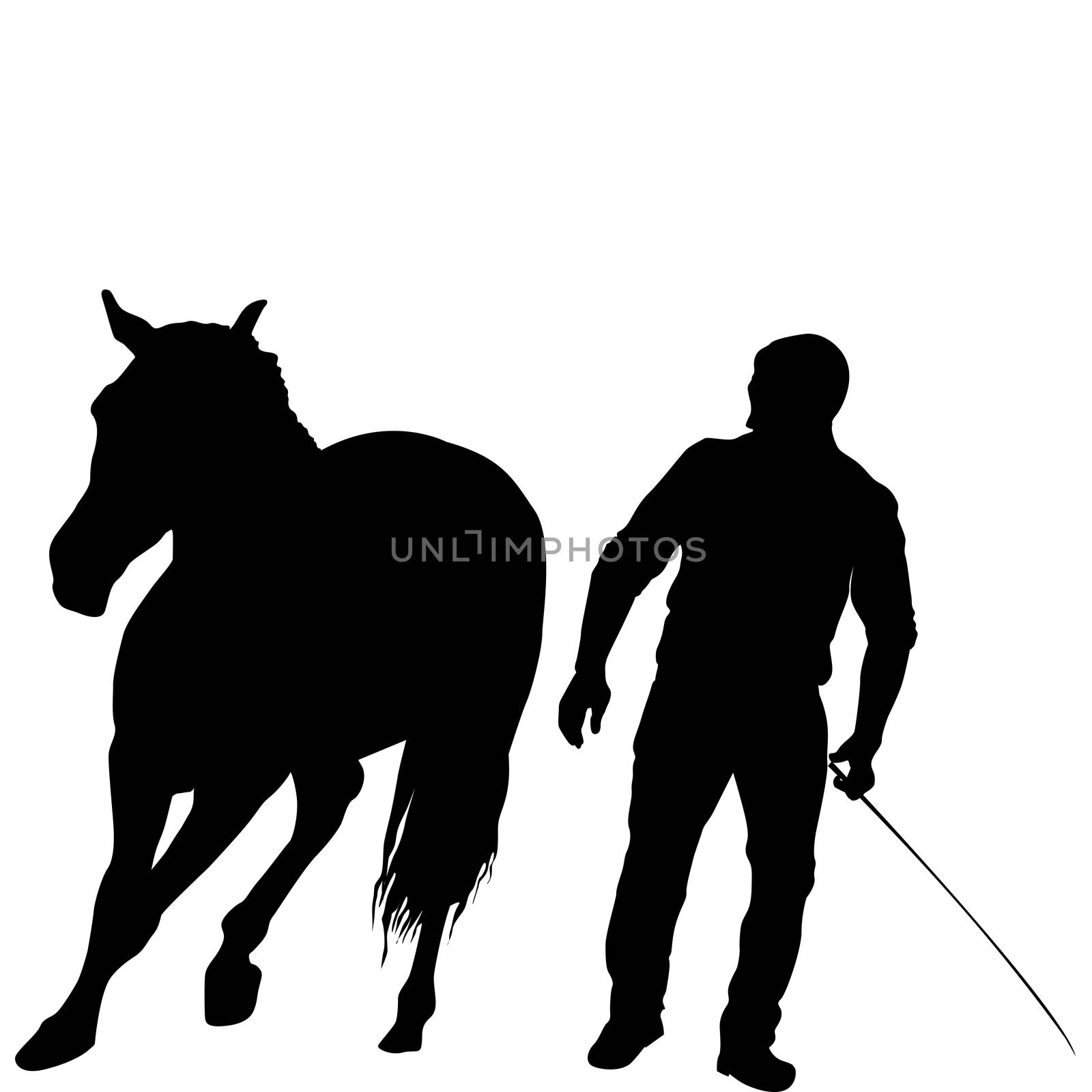 Silhouette of a man training a horse by hibrida13