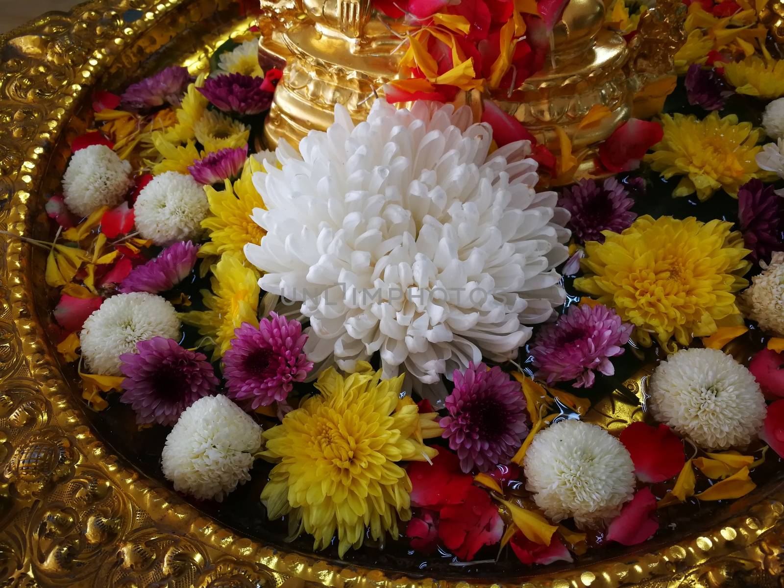 procedure of Buddhist praying from Buddha statue at Thailand happy new year festival in summer